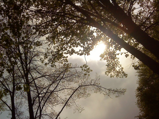 dsc04195.jpg